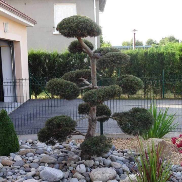 Service d’entretien de jardin à Toulouse
