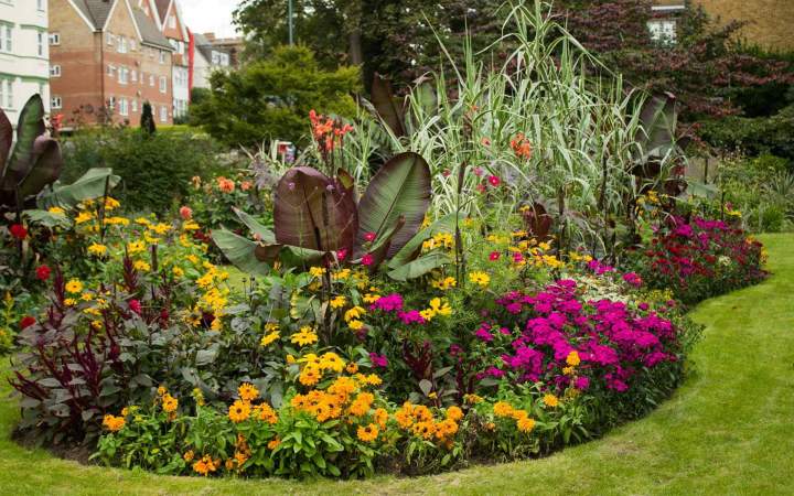 Service de jardinage professionnel à Toulouse