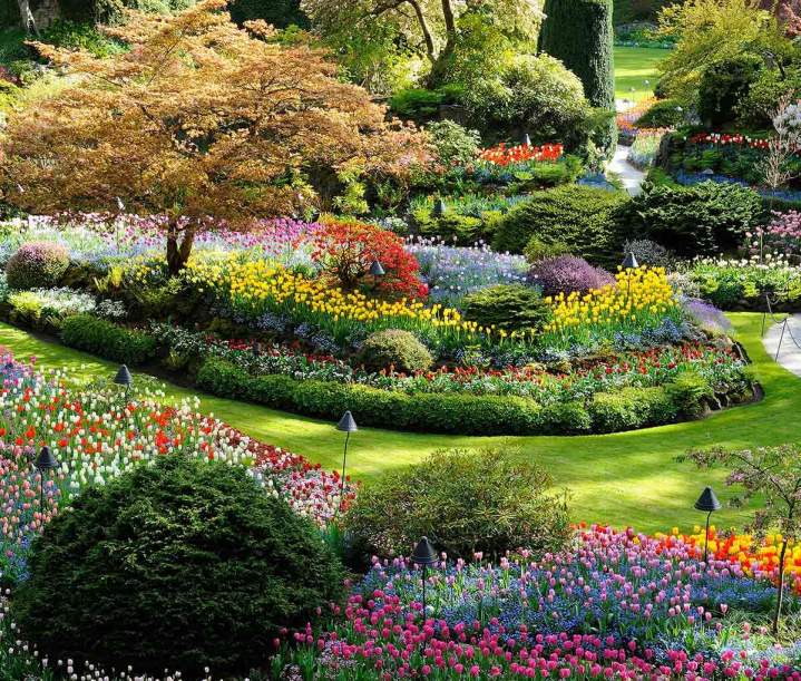 Des créations paysagères durables et esthétiques