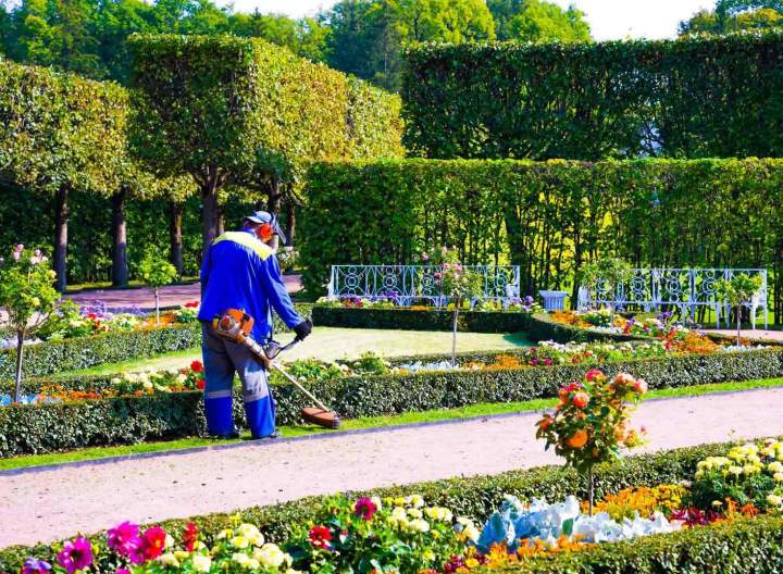 Spécialiste en entretien de jardin Toulouse