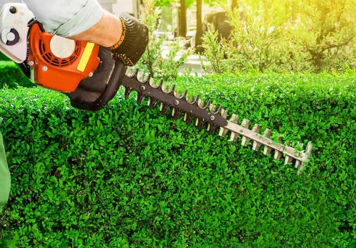 Service d’entretien de jardin à Toulouse