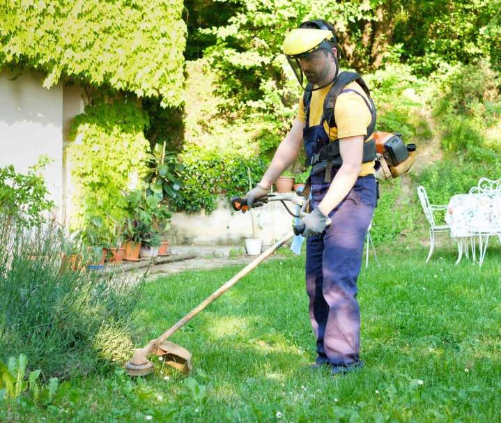 Service d’entretien de jardin à Toulouse